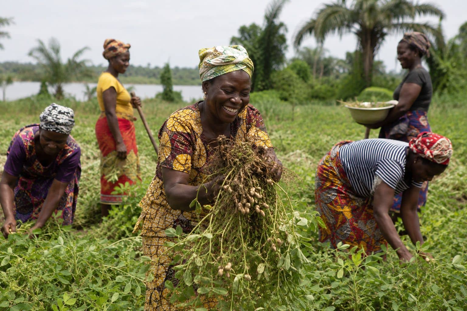 Women in Agriculture: Driving Rural Development in Bayelsa State