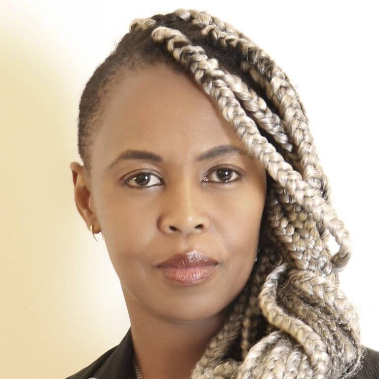 African Visual Arts in the Digital Age