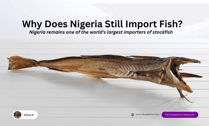 Why does Nigeria remain one of the world's largest importers of stockfish?