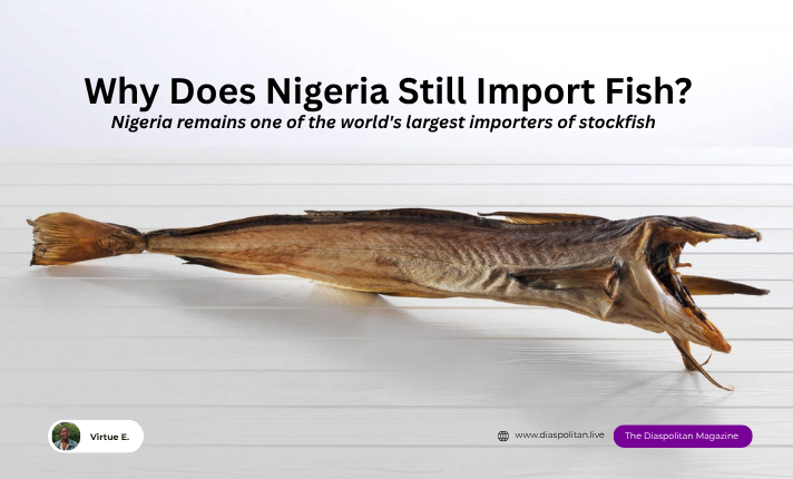 Why does Nigeria remain one of the world's largest importers of stockfish?